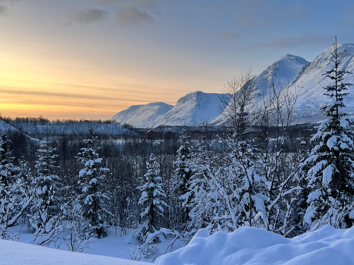 Packing for the Arctic