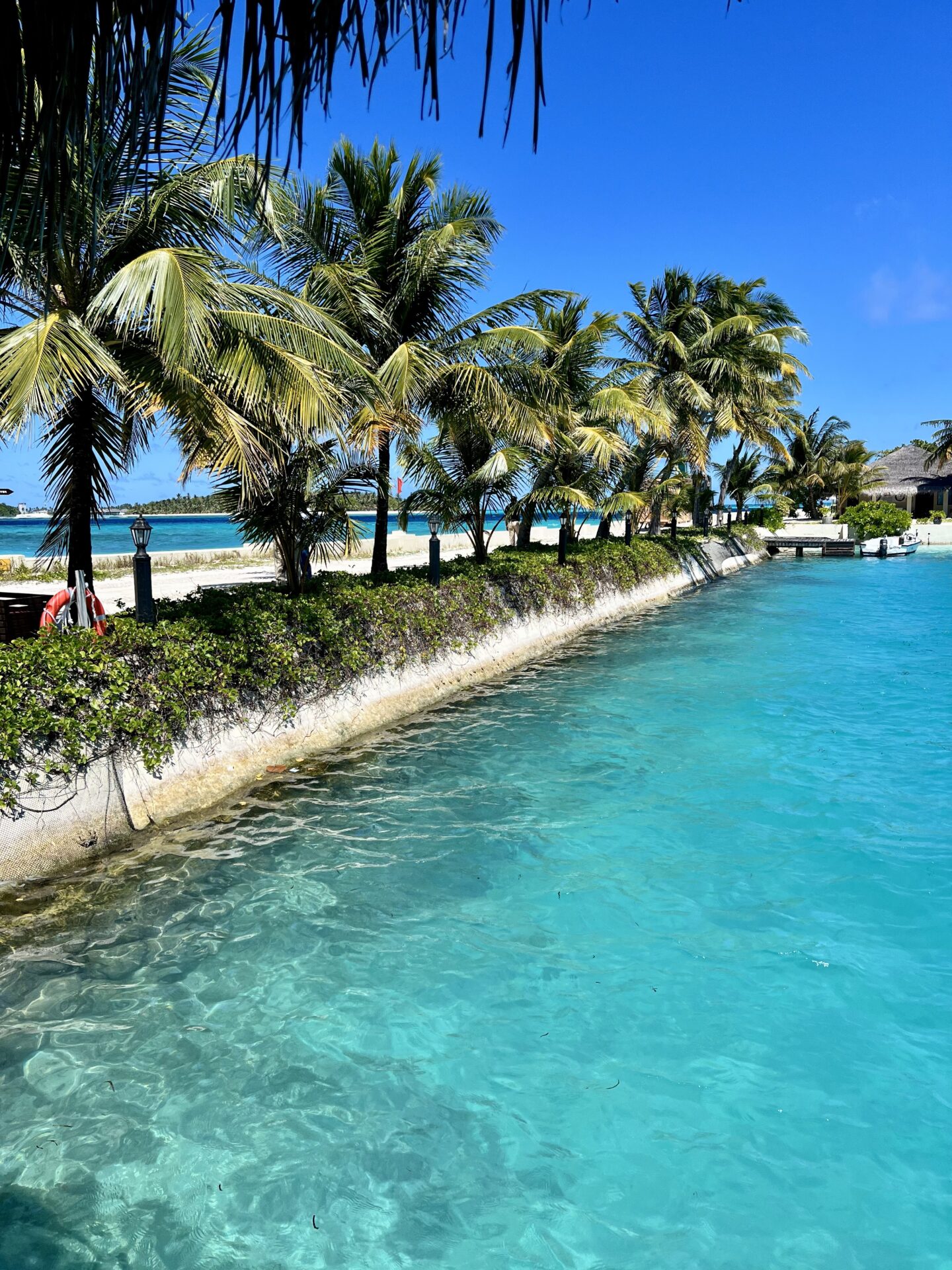 The Maldives